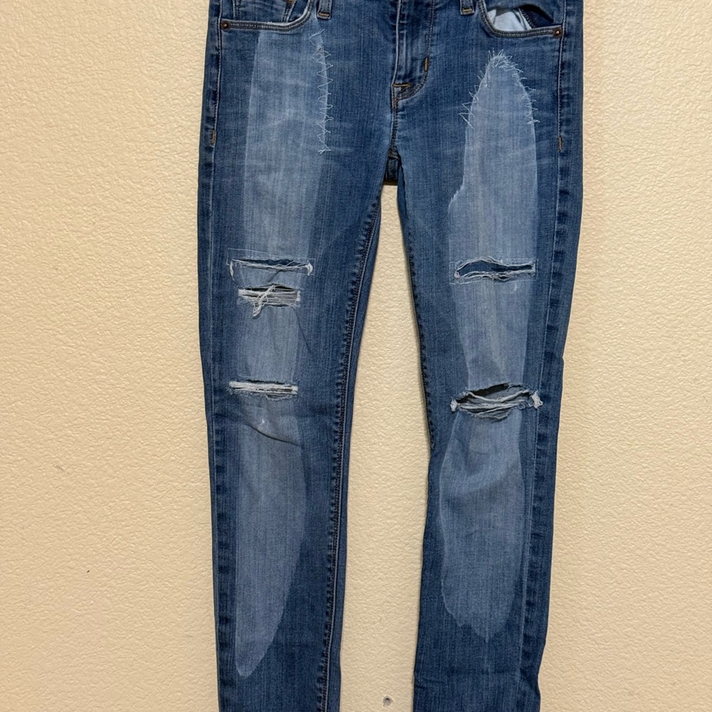 Hudson Jeans Women's Distressed Blue Skinny Jeans